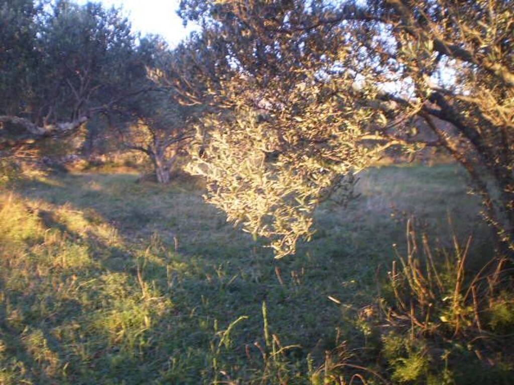 Image 4224400 - 6