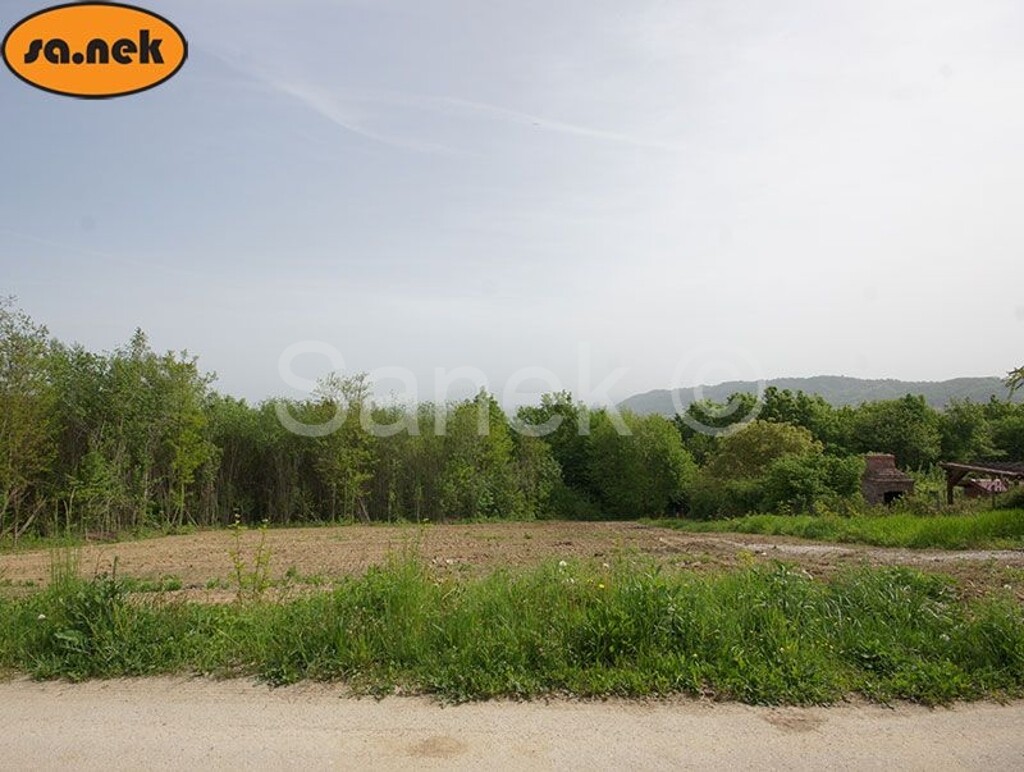 Image 4262872 - 1