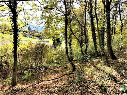 DOBRA INVESTICIJA,Tuheljske Toplice, zemljište 1.126 m2,blizina bazena