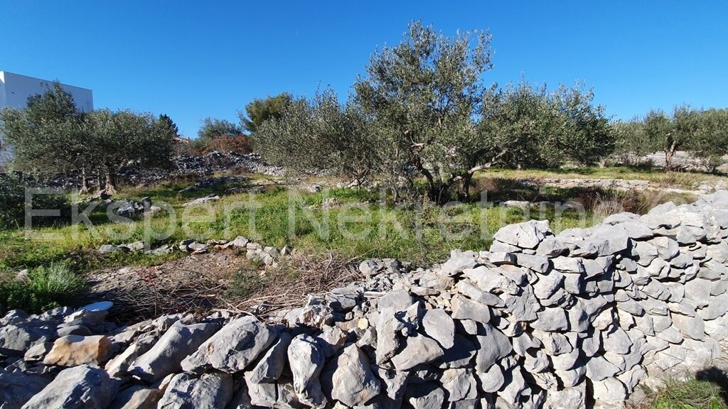 Image 4279333 - 3