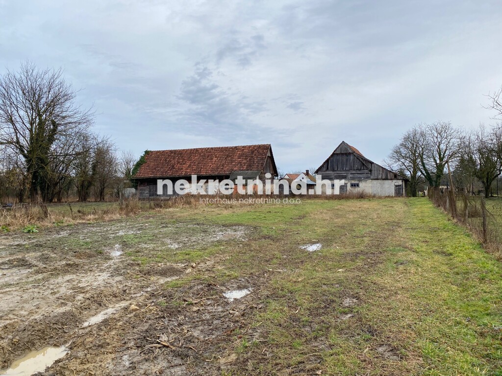 Image 4295153 - 6