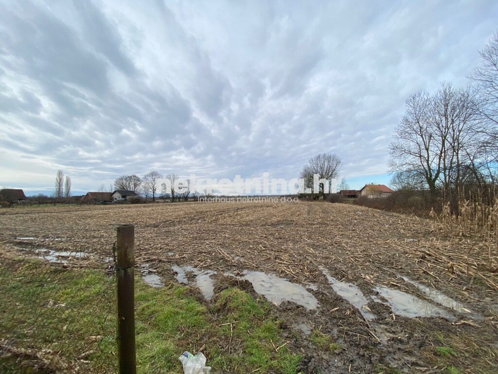 Image 4295153 - 4