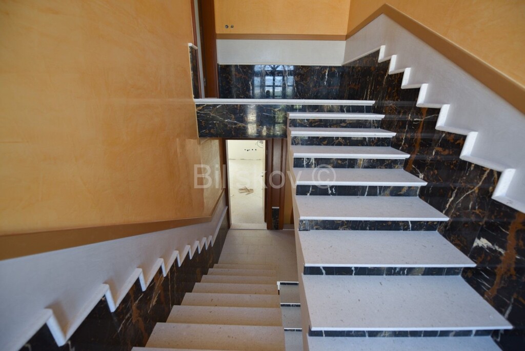 Image 4311471 - 7
