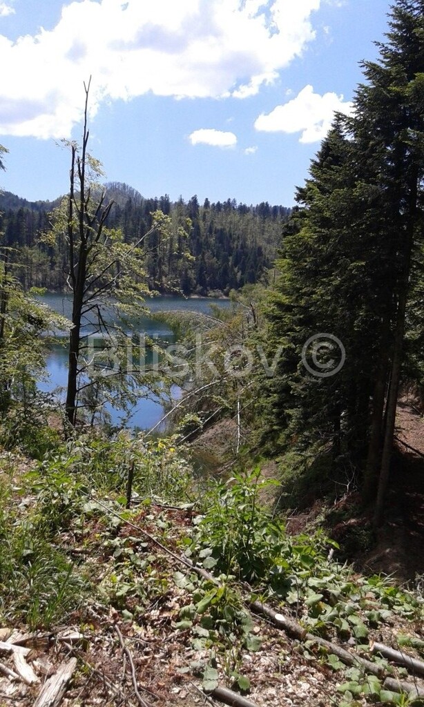 Image 4322037 - 11
