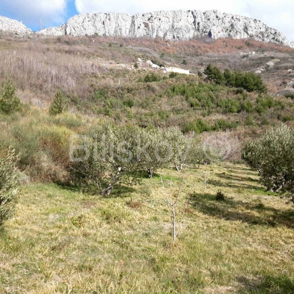Image 4325345 - 7