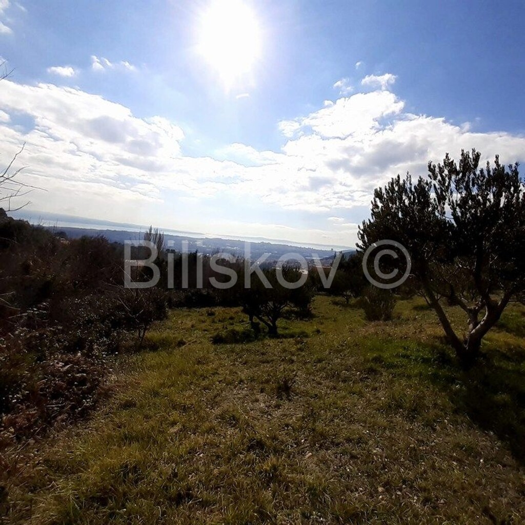Image 4325345 - 1