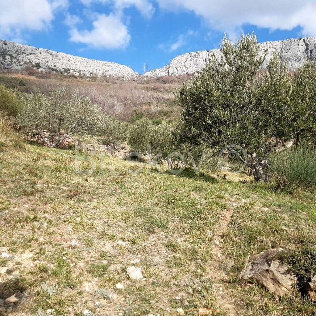 Image 4325345 - 8