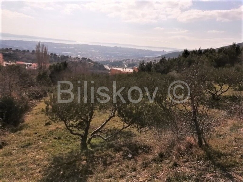 Image 4325345 - 5