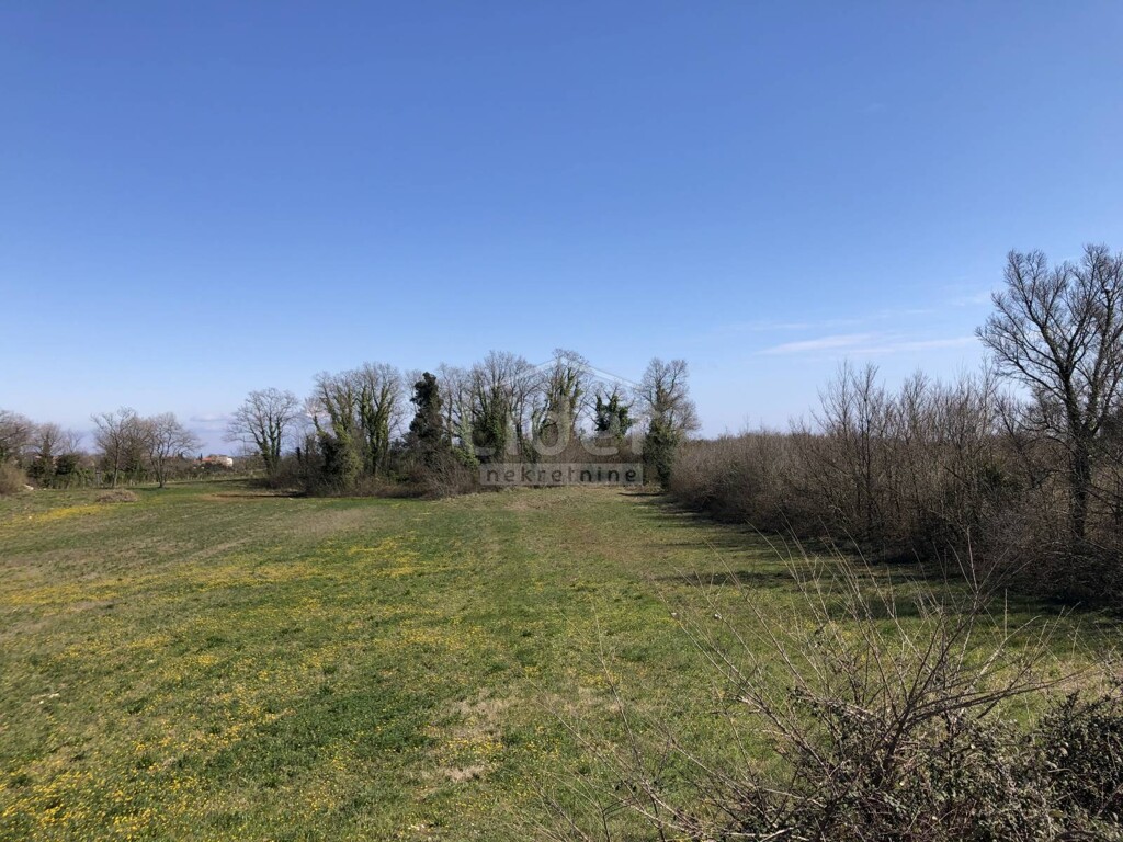 Image 4335379 - 3