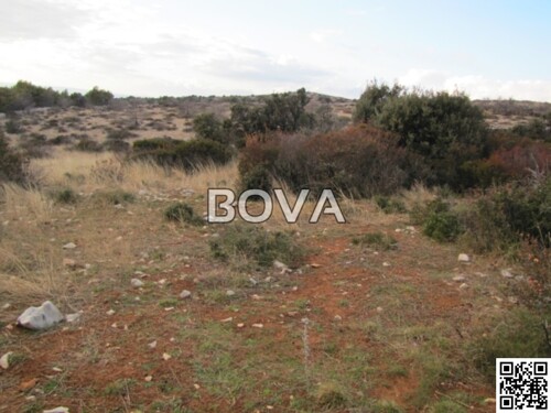 Poljoprivredno zemljište 5000 m2 – Vir (ID-2012)