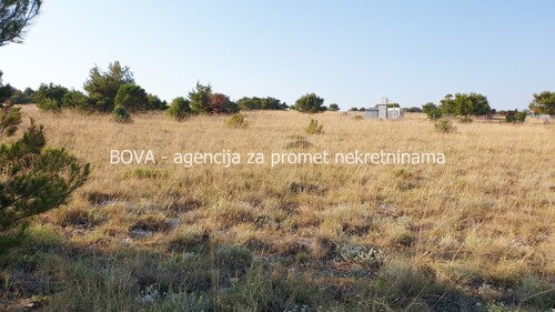 Poljoprivredno zemljište 3000 m2 na Viru, Zadar *400 m OD MORA* (ID-1875)