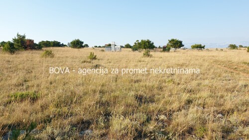 Poljoprivredno zemljište 3000 m2 na Viru, Zadar *400 m OD MORA* (ID-1875)