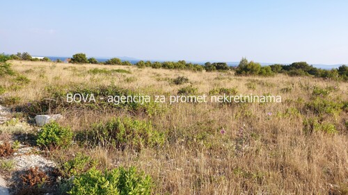 Poljoprivredno zemljište 11000 m2 na Viru, Zadar *POGLED MORE* (ID-1870)