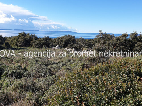 Poljoprivredno zemljište 12500 m2 na Viru *POGLED MORE* *PRILIKA* (ID-1694)