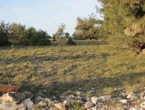 VIR Križica - građevinsko zemljište 5600 m2 HITNO I POVOLJNO! (ID-428)