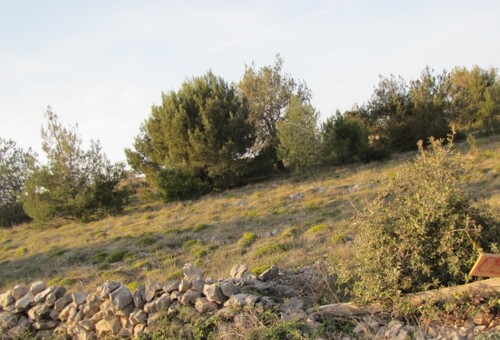 VIR Križica - građevinsko zemljište 5600 m2 HITNO I POVOLJNO! (ID-428)