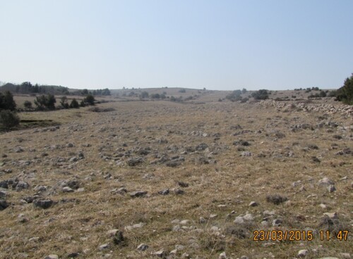 Poljoprivredno zemljište, Vir, 6800 m2 (ID-405)