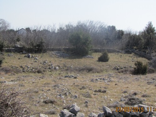 Poljoprivredno zemljište, Vir, 6800 m2 (ID-405)