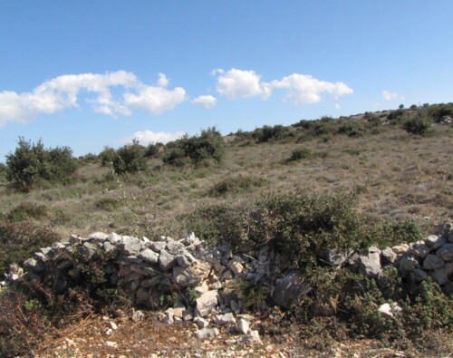 Poljoprivredno zemljište, Vir, 12100 m2 prekrasan pogled na more! (ID-377)