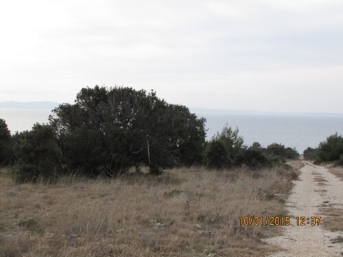 Poljoprivredno zemljište: Vir, 8000 m2 (ID-355)