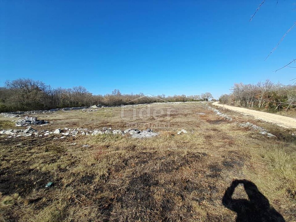 Image 4350484 - 4