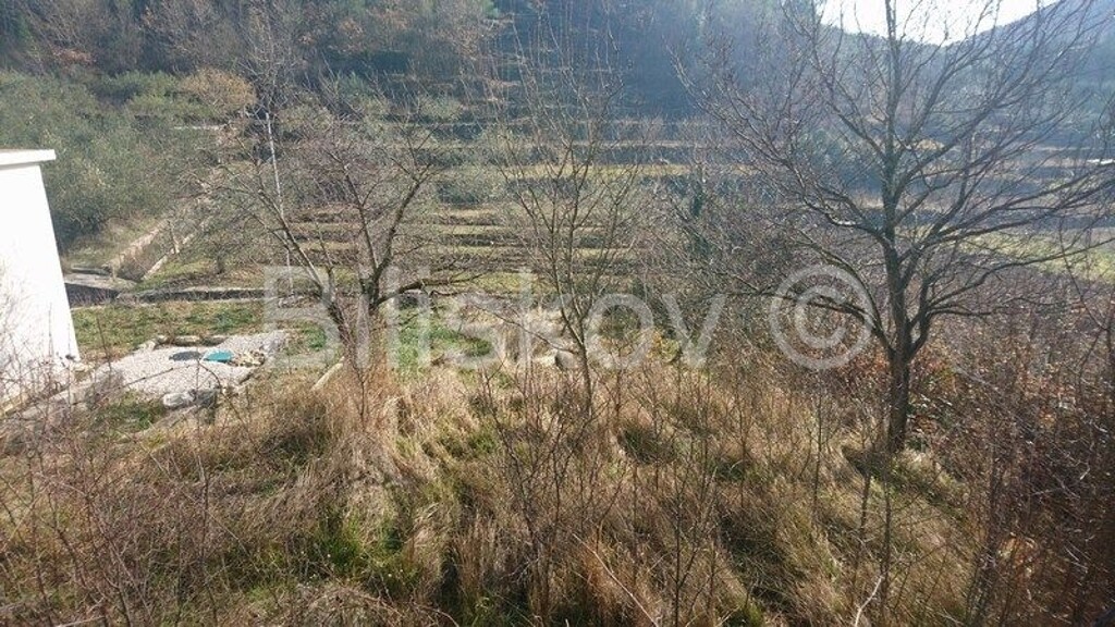 Image 4351118 - 1