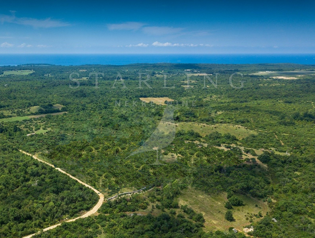 Image 4369595 - 1