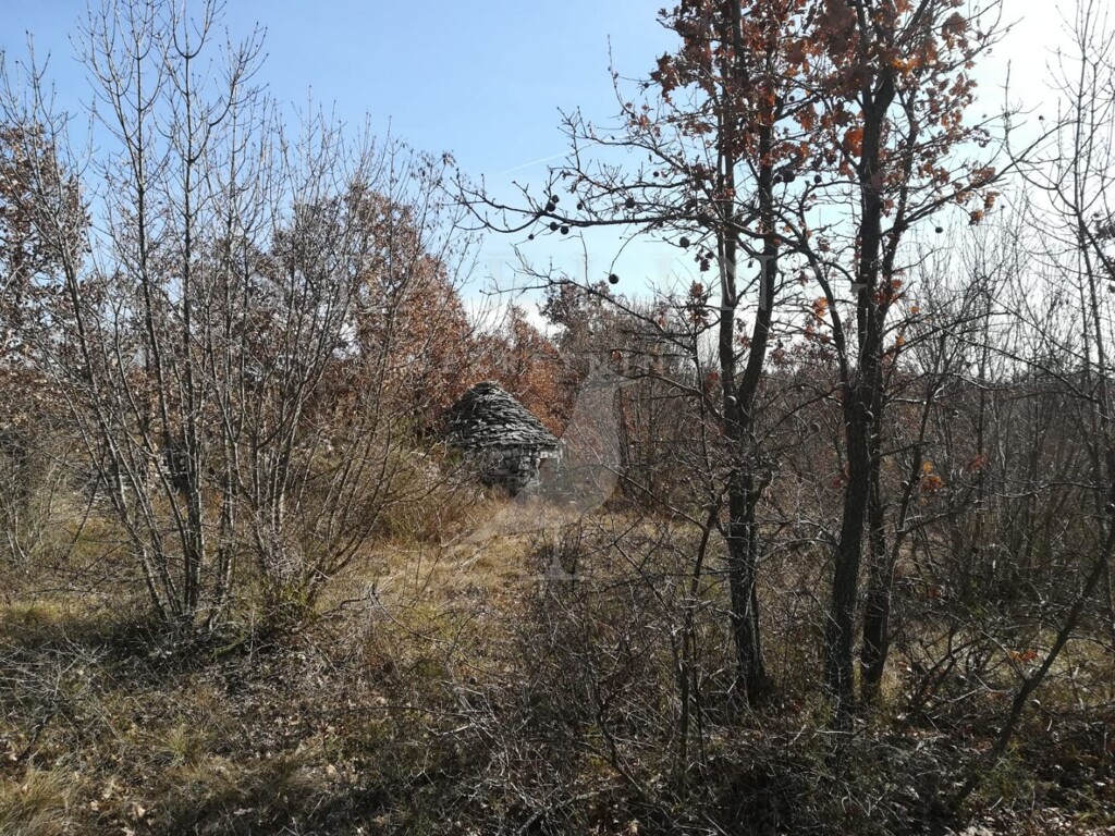 Image 4369595 - 2
