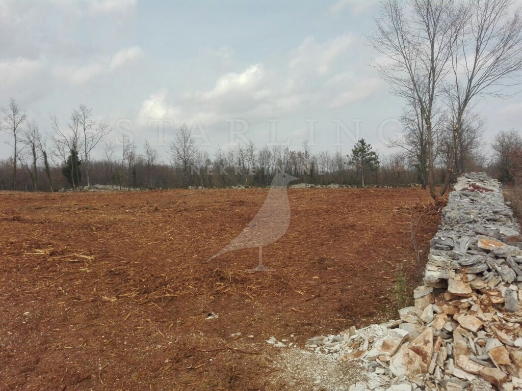 Image 4369596 - 1