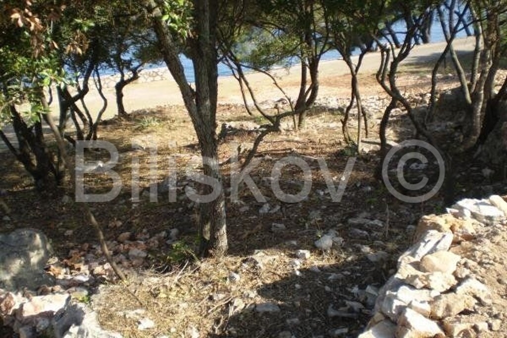Image 4369766 - 12