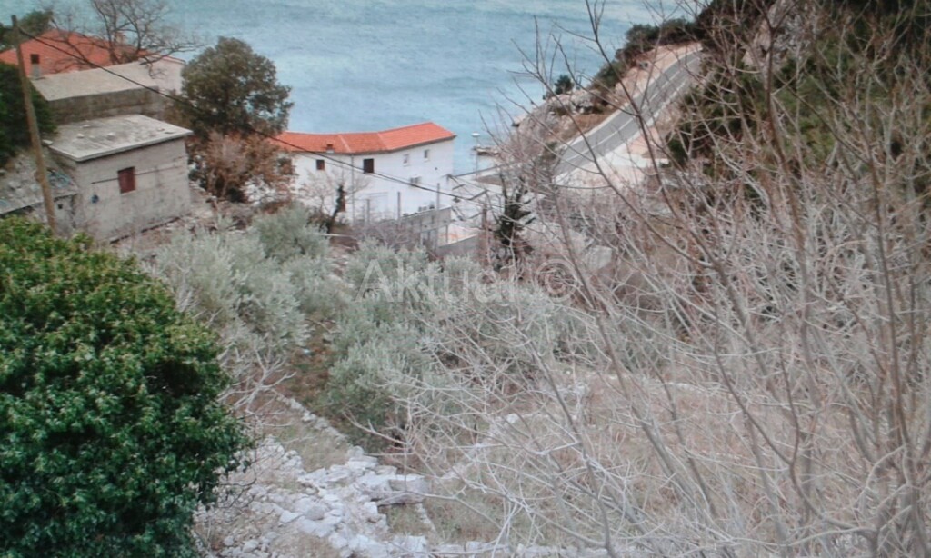 Image 4387895 - 5