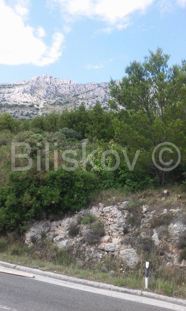 Image 4397910 - 1