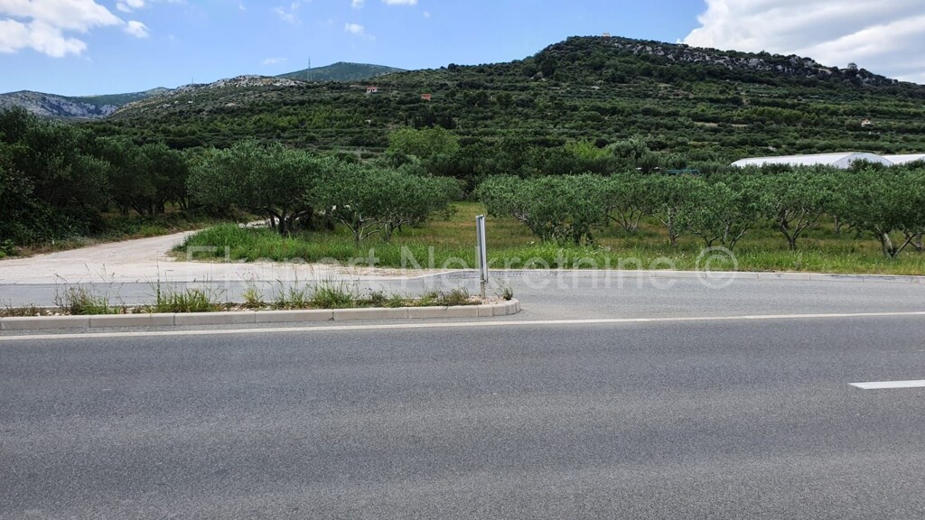 Image 4397927 - 1