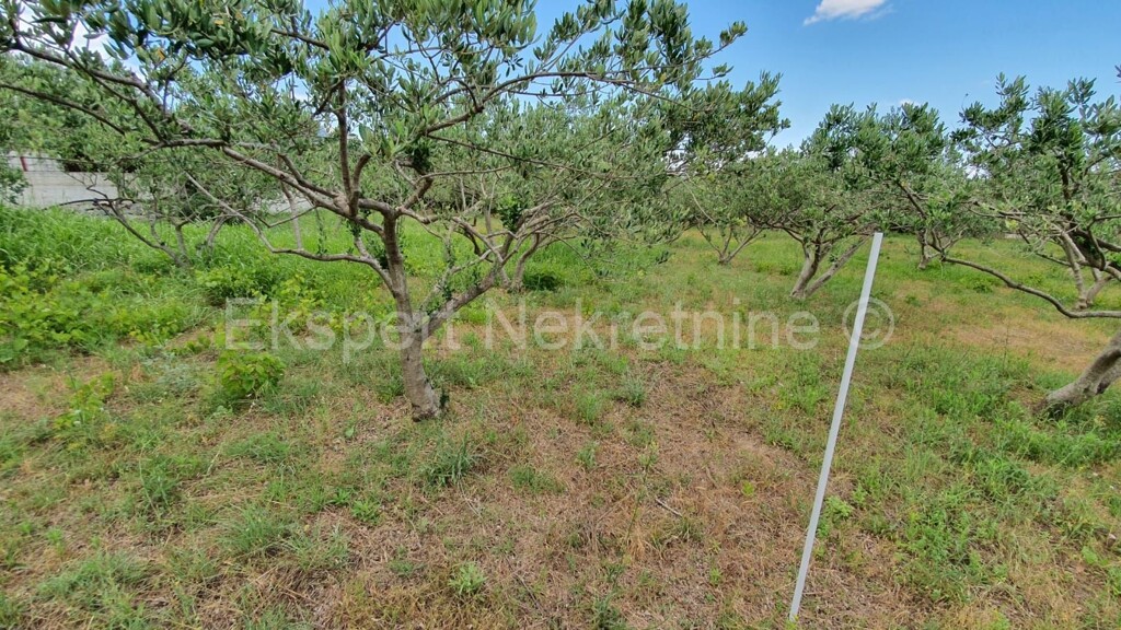 Image 4397927 - 4