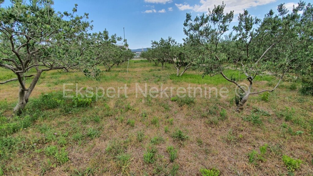 Image 4397927 - 3