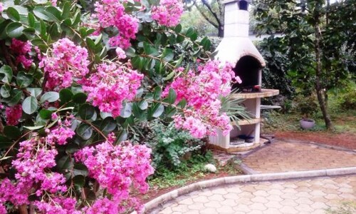 Thumbnail 4404759 - 26