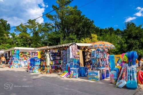 Thumbnail 4404771 - 13