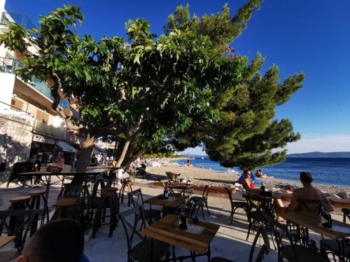 Thumbnail 4404902 - 15