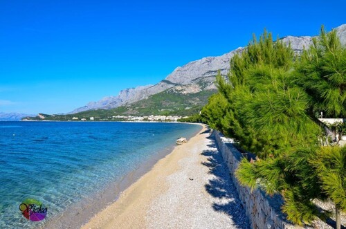 Thumbnail 4404902 - 16