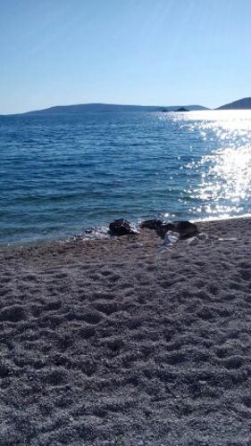 Thumbnail 4404935 - 7