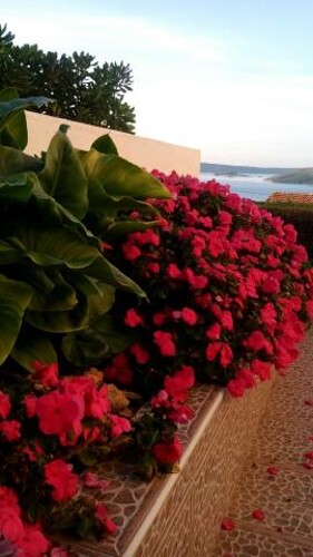 Thumbnail 4404935 - 5