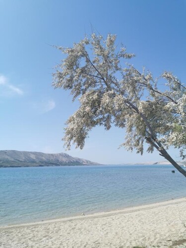 Thumbnail 4405061 - 6