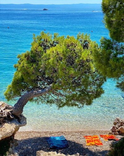 Thumbnail 4405073 - 13