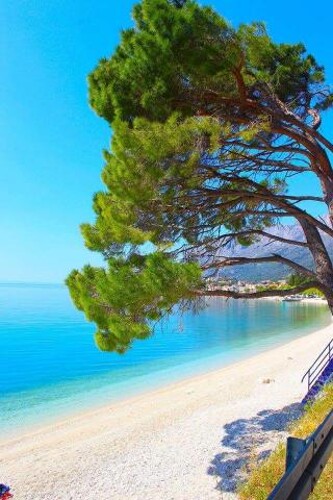 Thumbnail 4405073 - 1