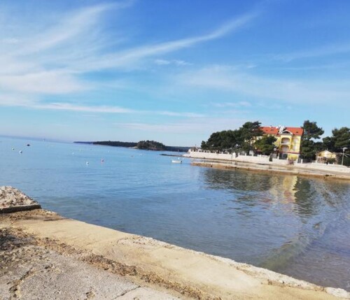 Thumbnail 4405152 - 12