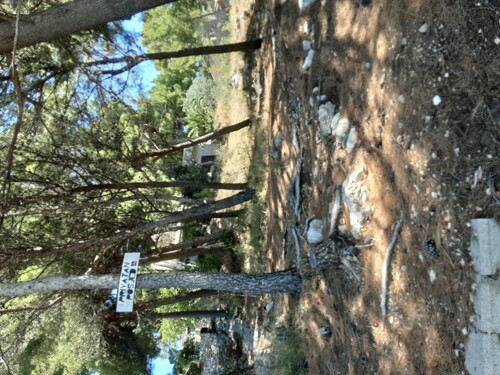 Thumbnail 4405156 - 13