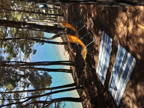 Thumbnail 4405156 - 11