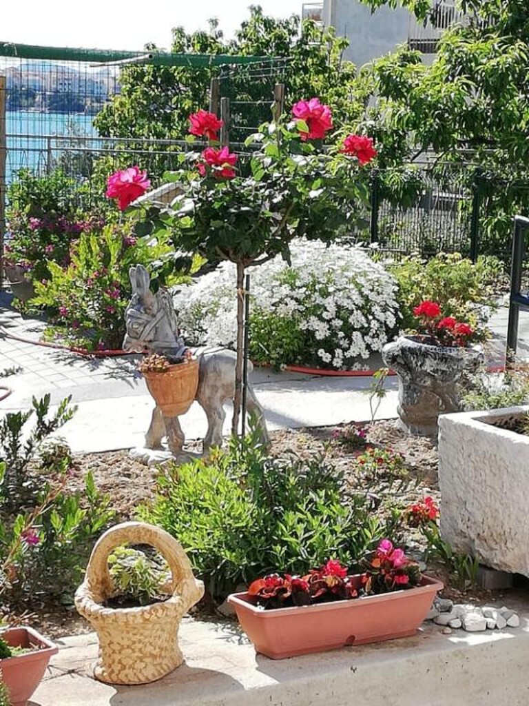Image 4405183 - 8