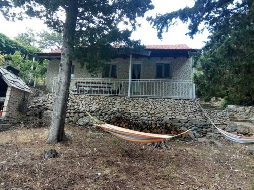 Thumbnail 4405279 - 4