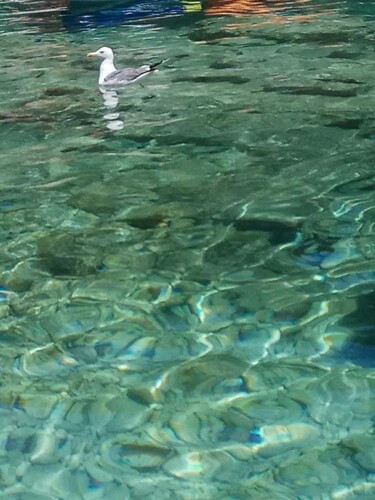 Thumbnail 4405279 - 25